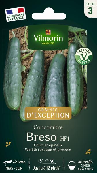 Potagères - Concombre Breso HF1 - Graines d'Exception - PACKAGING_RECTO